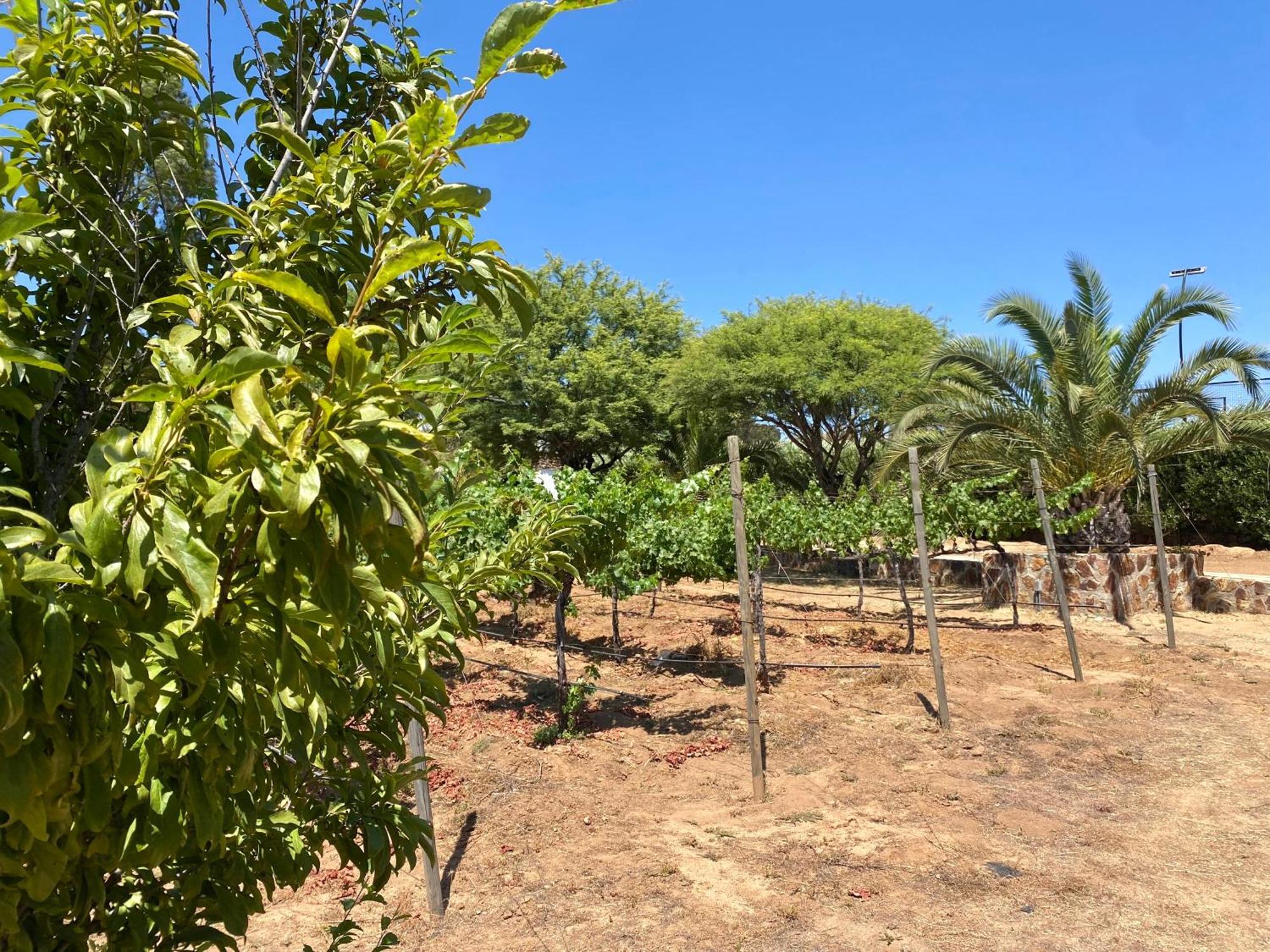 Tierra Mia Hacienda Ruta Del Vino 호텔 장크트 고아르스하우젠 외부 사진