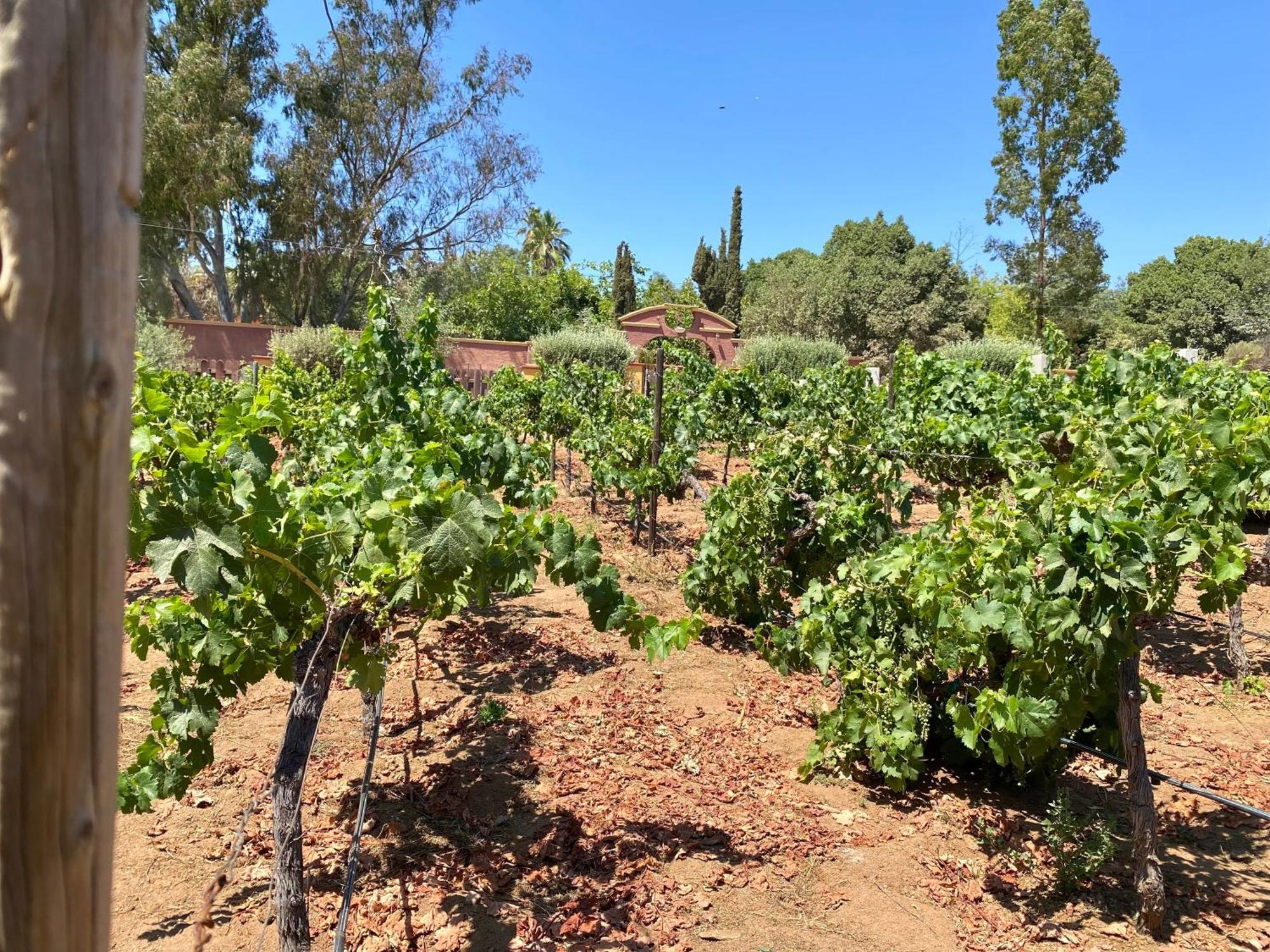 Tierra Mia Hacienda Ruta Del Vino 호텔 장크트 고아르스하우젠 외부 사진