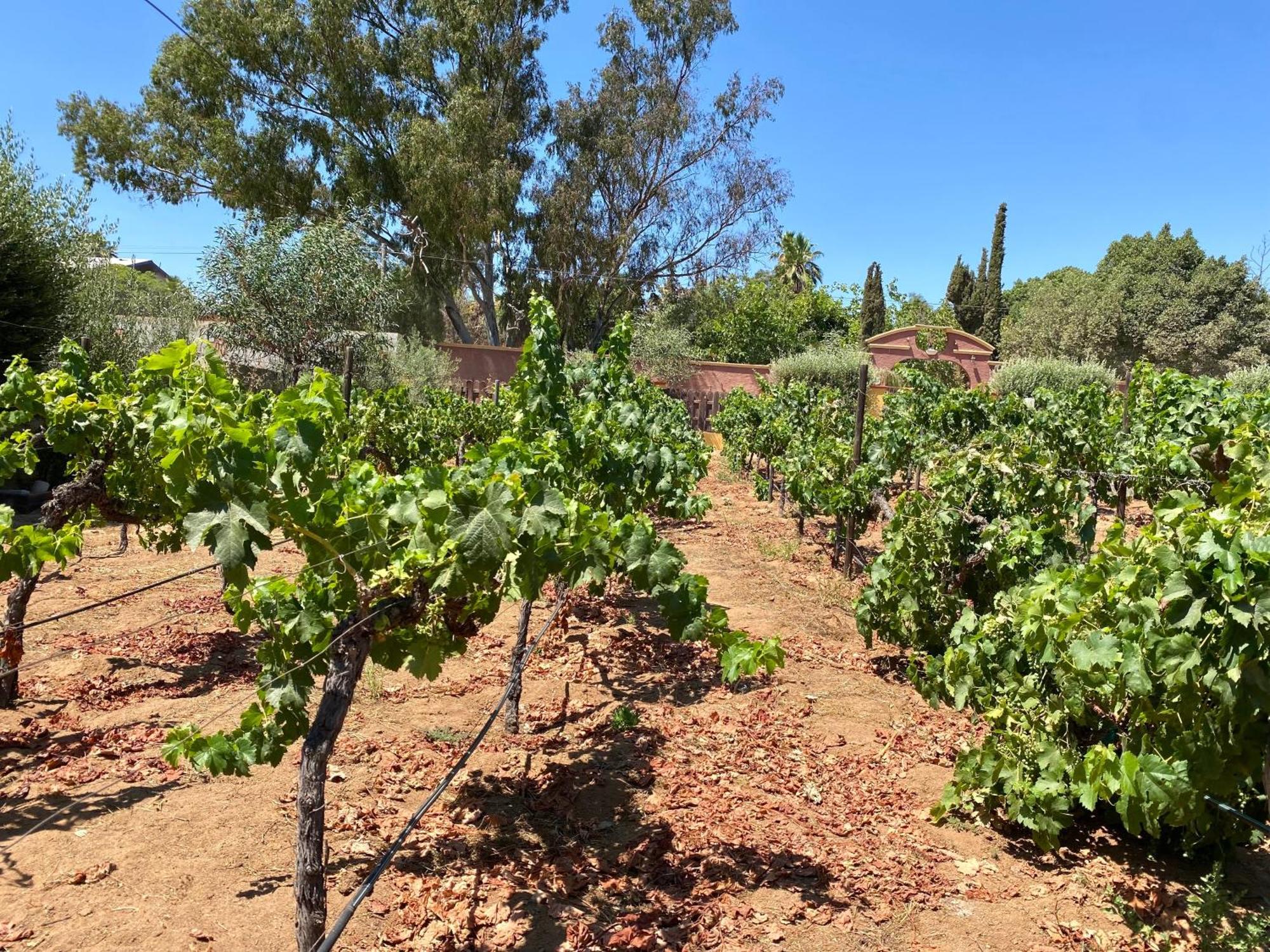 Tierra Mia Hacienda Ruta Del Vino 호텔 장크트 고아르스하우젠 외부 사진